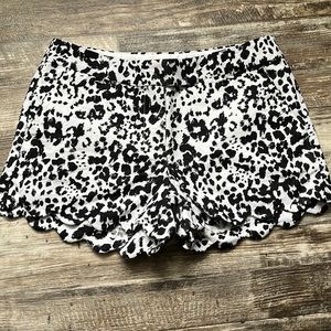 J.Crew white/black leopard print shorts size 4